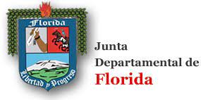 Junta Departamental de Florida 