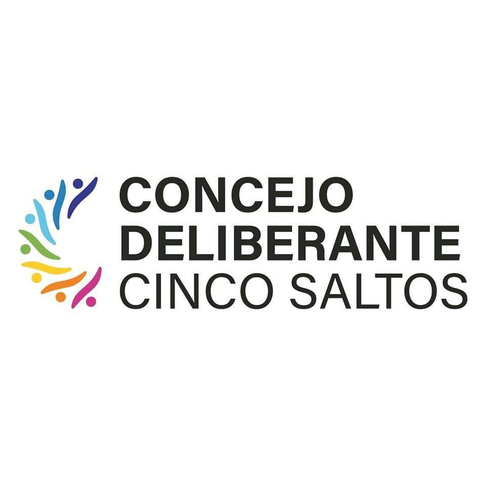 Concejo Deliberante Cinco Saltos